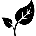 Umwelt